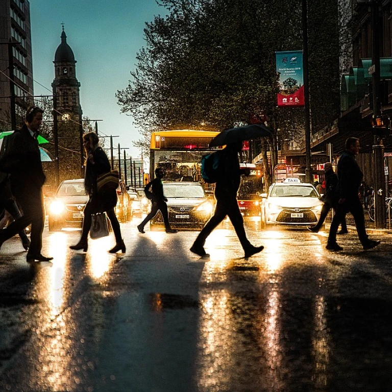 Understanding the Role of a Chief Innovation Officer