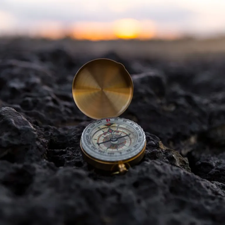 Unlocking elite professional development strategies for impactful leadership